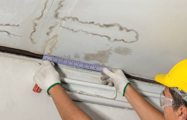 Reliable Mold Remediation contractor in Bloomville, OH by Water Damage Irwin